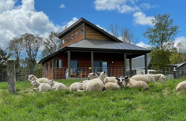 Fat Sheep Farm & Cabins