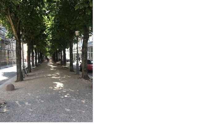 Feel-good oasis in the center of Baden-Baden