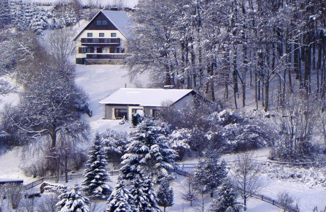 Ferienbungalow Nähe Willingen-Winterberg
