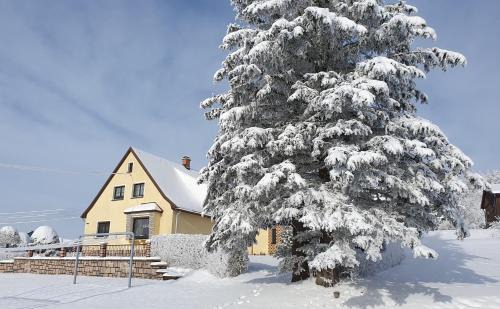 Ferienhaus Bringfriede