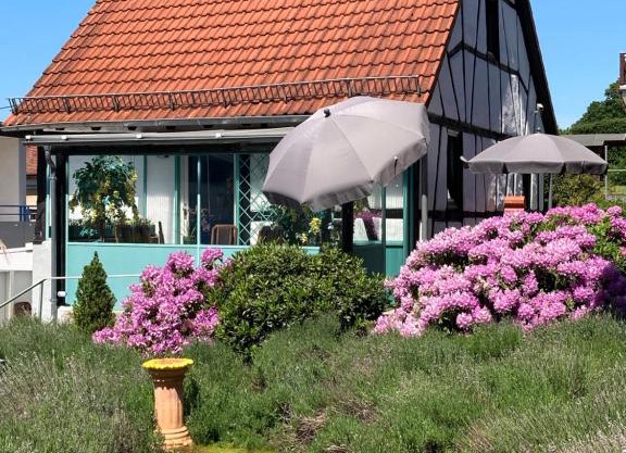 Ferienhaus mit Sauna, Wintergarten und Terrasse im schönen Hochtaunus