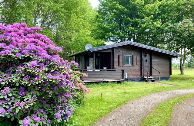 Ferienhaus mit Terrasse