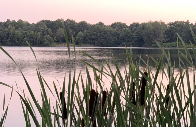 Ferienhaus Seestern am Harkebrügger See mit Sauna und Kamin