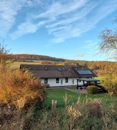 Ferienhaus Willingen Diemelsee