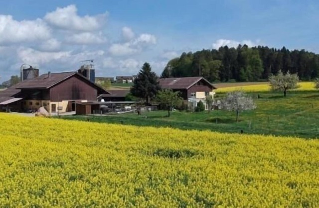 Ferienwohnung/app. für 5 Gäste mit 55m² in Dinhard