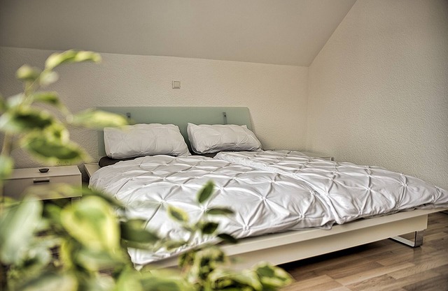 Ferienwohnung/app. für 2 Gäste mit 67m² in Gaggenau