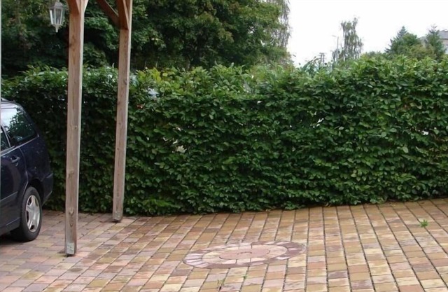 Ferienwohnung/app. für 4 Gäste mit 50m² in Bad Schlema