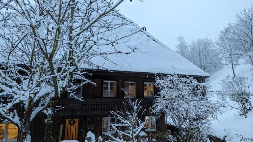 Ferienwohnung im Historischen Schwarzwaldhaus