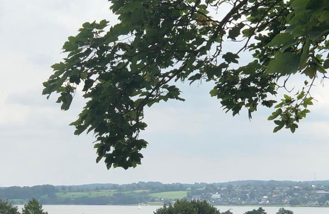 Ferienwohnung Möwe 14