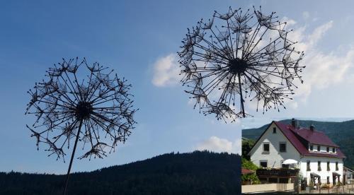 Ferienwohnung Pusteblume