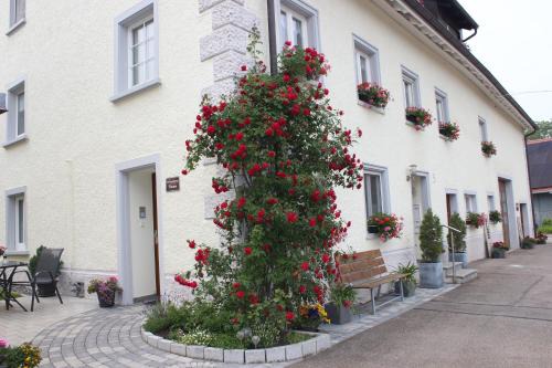 Ferienwohnung Thoma