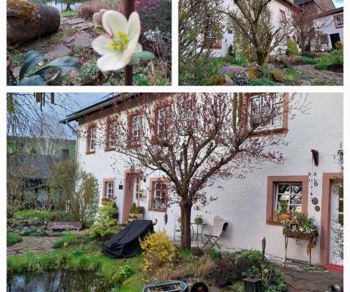 Ferienwohnung Zum Jehöschnis