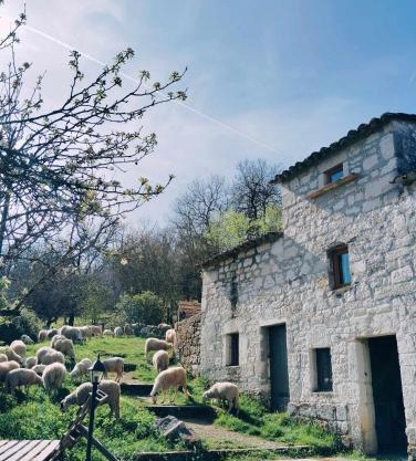 Ferme de Lacassagne