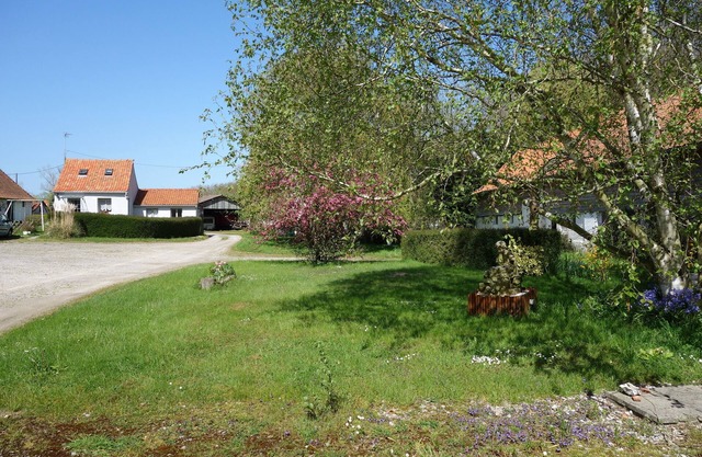 "Ferme De Tigny" - Berck-sur-Mer - COTE D'OPALE - Sea, River Animals .