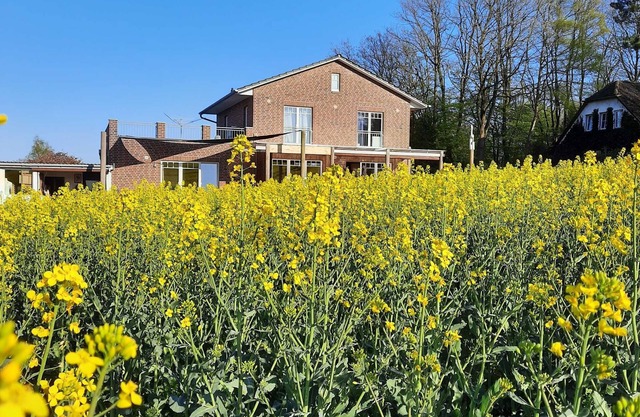 Fewo Seestern in Reinbek - Ferienwohnung Seestern