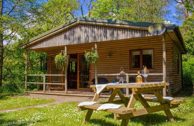 Fiddlers Green Log Cabin, Tenby