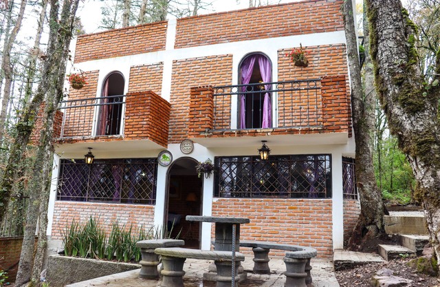Finca de los Leones - Cabaña Primavera