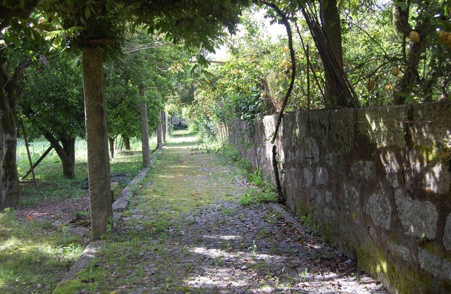 First floor in rural Maia