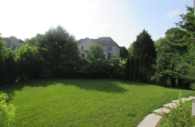 First Level of house, 2 Bed spacious, walkout door ,bright garden view