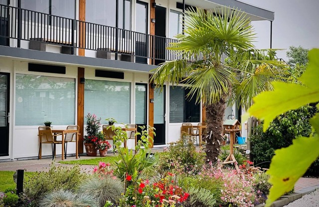 Flamingo Studios Zeeland