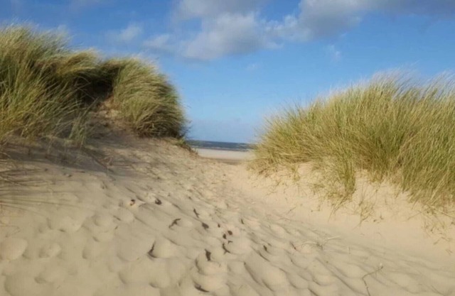 Flint Cottage - a charming home and dog friendly!