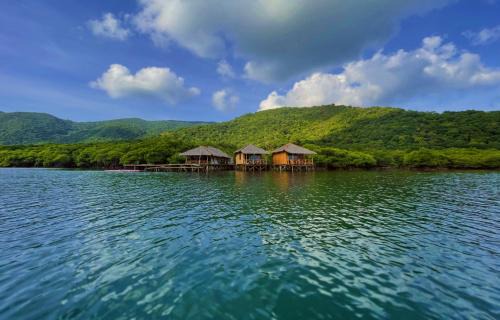 Floating Paradise