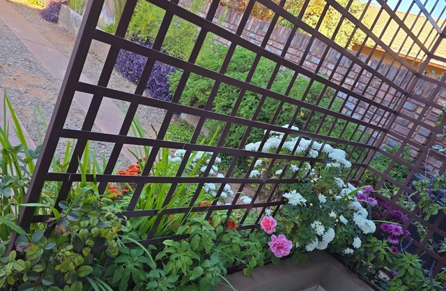 Flower Lane Guesthouse