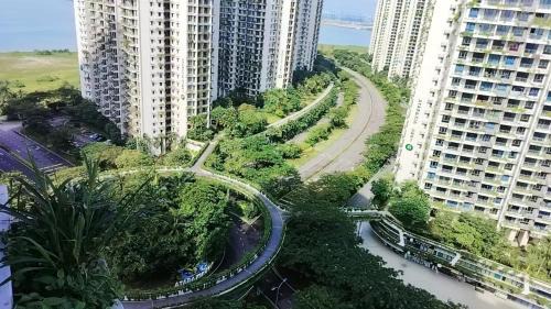 Forest森林城市01