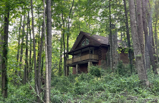 Forest Cabin Moments from Stone Mountain
