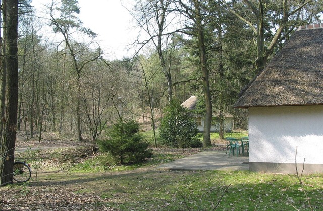 Forest Villa in Herperduin with Bubble Bath