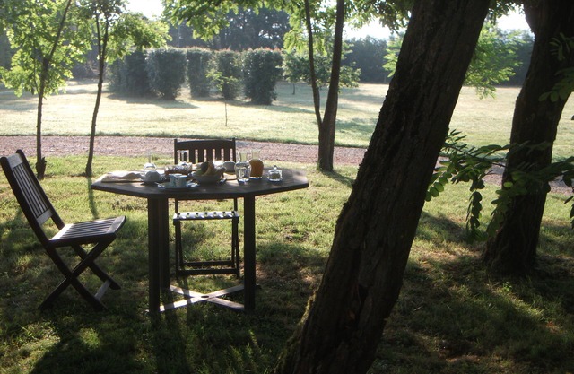 Former winegrower's farm with swimming pool and 6000 m2 of land.