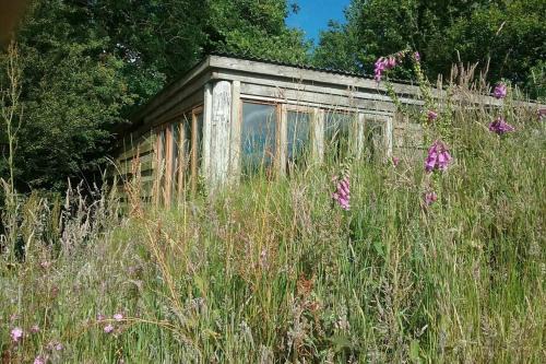 FoxesDen, Unique Eco Cabin, Dartmoor views