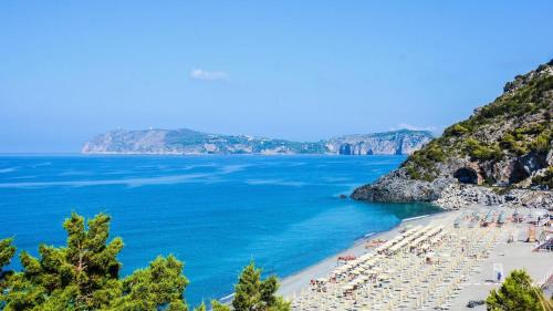 Franco Home1 Palinuro-Camerota