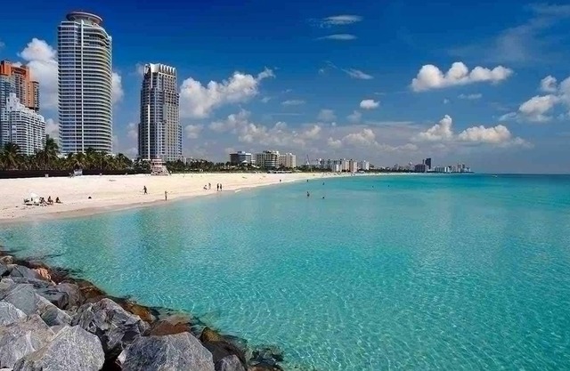 Fresh Modern With Pool Oasis