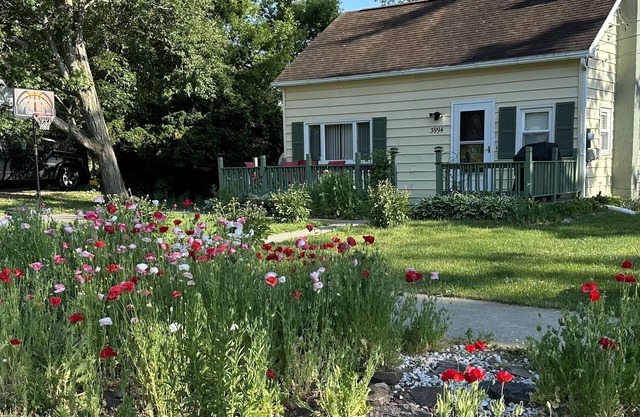 From wine tours to family gatherings, this quaint cape has something for all!