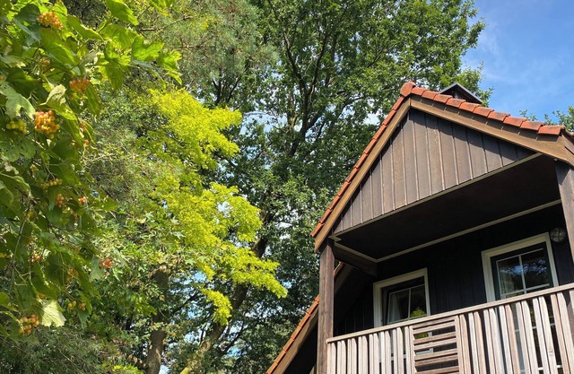 Fully furnished apartment with balcony on forest and dune area