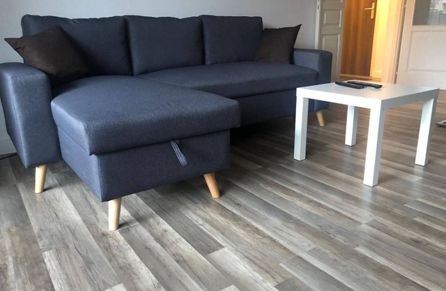 Furnished apartment, practical and very comfortable Colmar