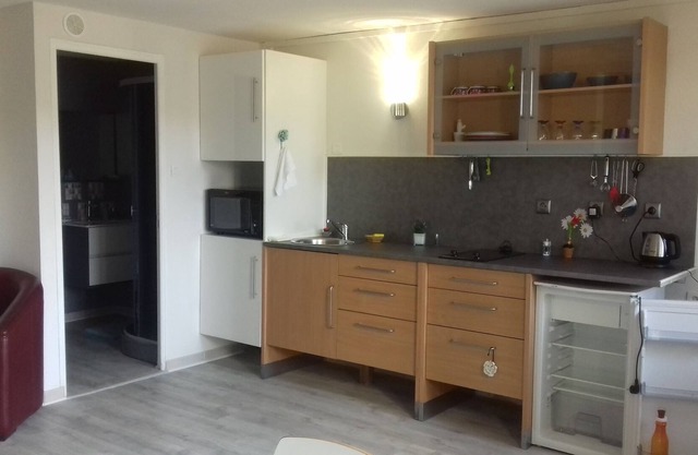 Furnished studio in St Martin la Plaine