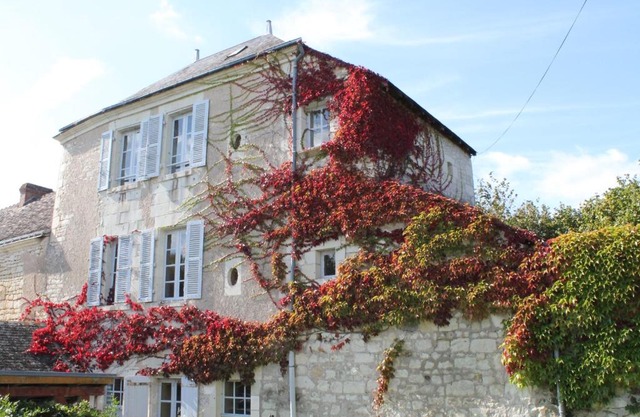 Gîte au calme avec jardin et WIFI à La Roche-Posay - FR-1-541-52