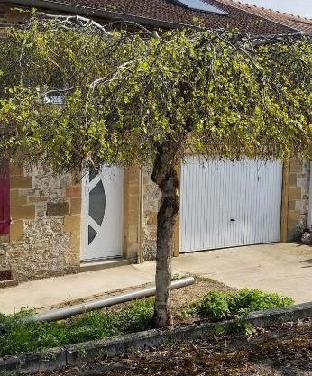 Gîte Betula