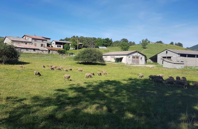 Gîte des Millets en Baronnies - Rosans 05