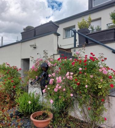 Gîte EMOZIONE