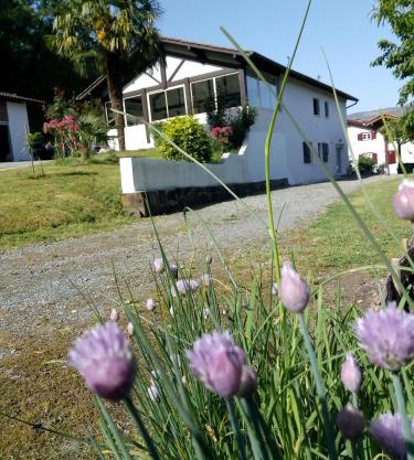 Gîte Etxe Xuri