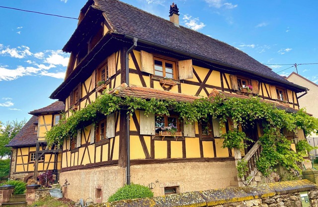 Gîte Le Chut - Jacuzzi & Swimming pool - 22km Strasbourg