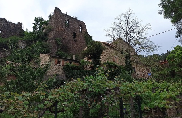 Gîte les Coquelicots de Retourtour