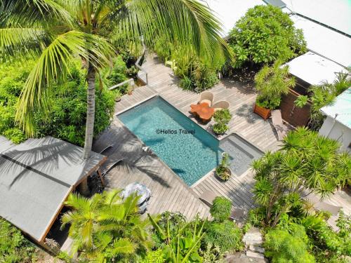 Gîtes Atemoya. Petit Bas Vent Fort Royal.