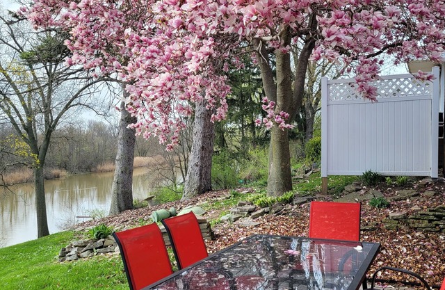Game Room, Bar, Dock and River Patio