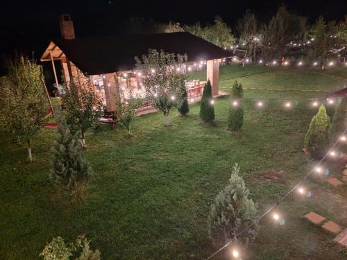 Garden Pypa