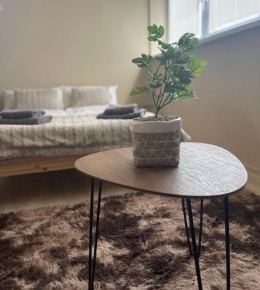 Garzon/Studio apartment