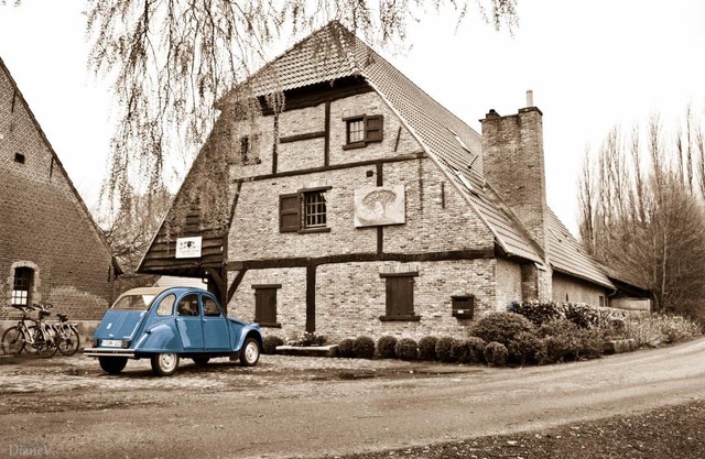 Gastenlogies Blauwe Schaap